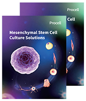 Mesenchymal Stem Cell Culture Solutions (2605)